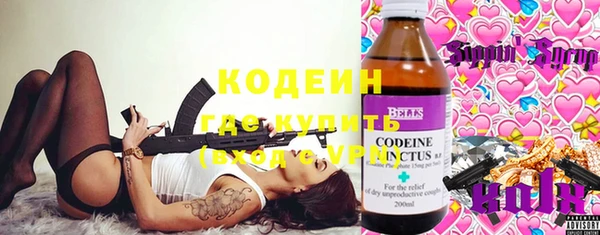 прущие грибы Липки