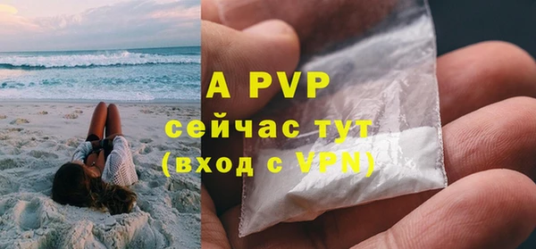 прущие грибы Липки