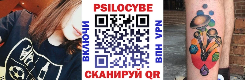 блэк спрут вход Сорск Псилоцибиновые грибы Cubensis