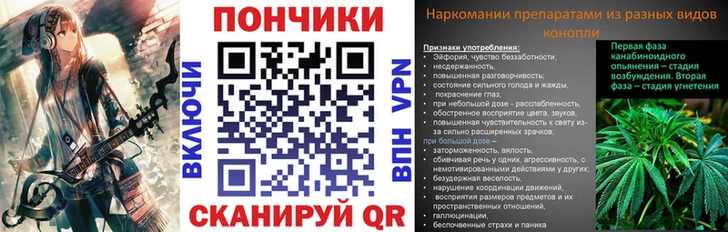 купить наркотик  Сорск  omg   Бошки Шишки конопля 