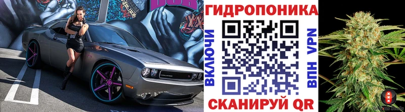 МАРИХУАНА сатива Сорск